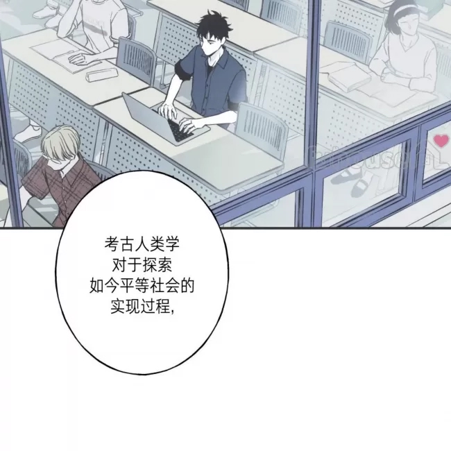 第 51 页