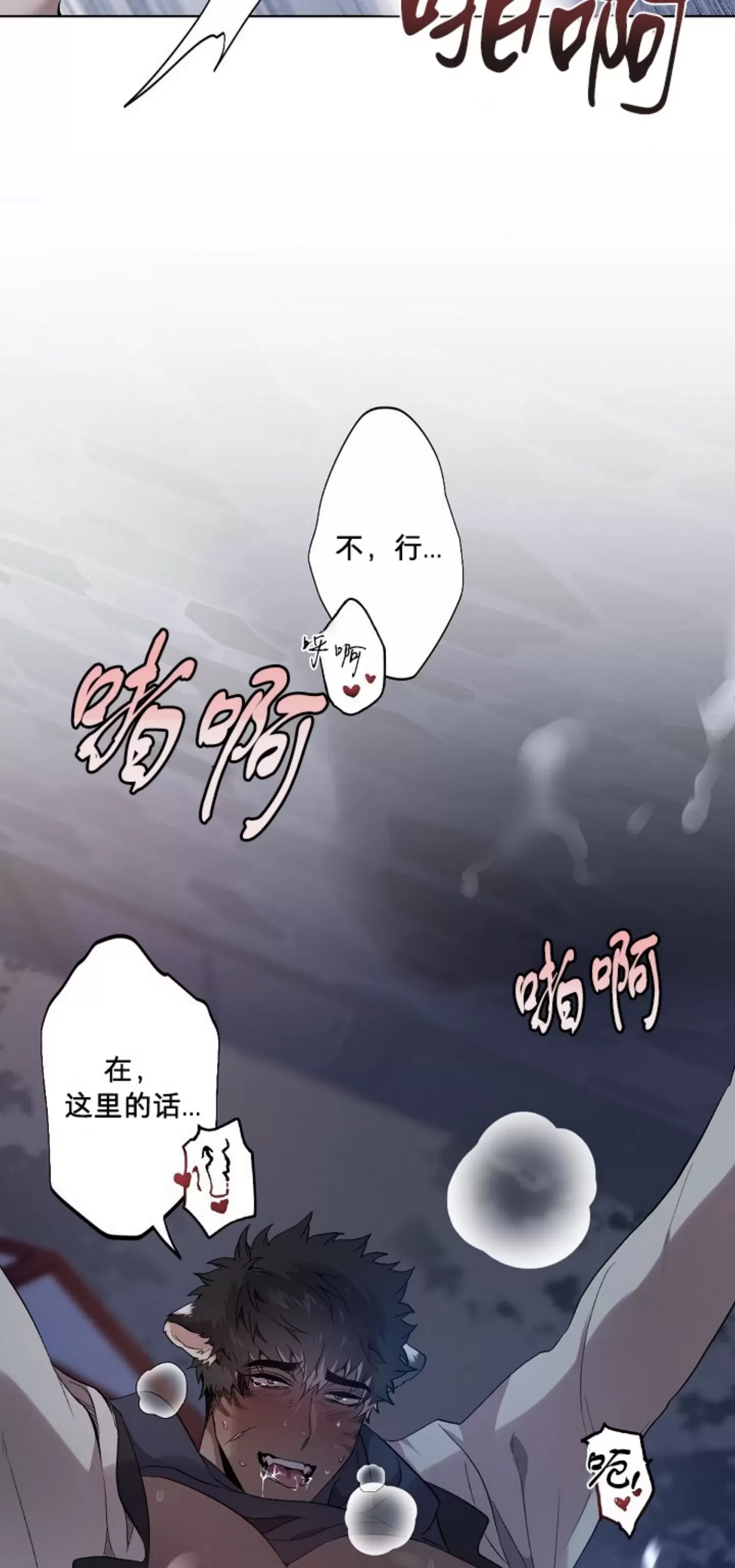 第 50 页