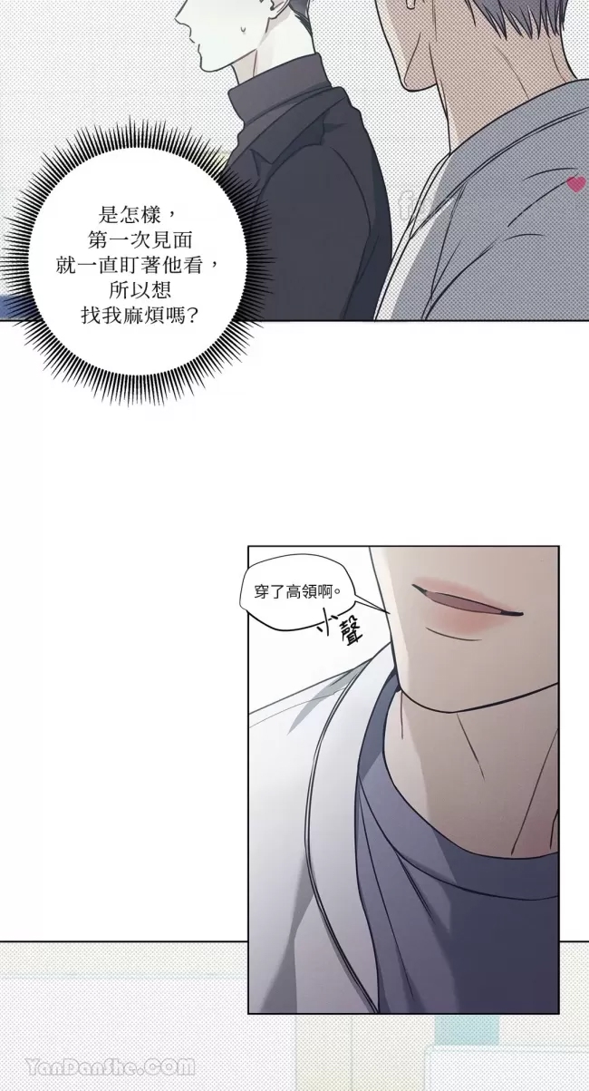 第 31 页