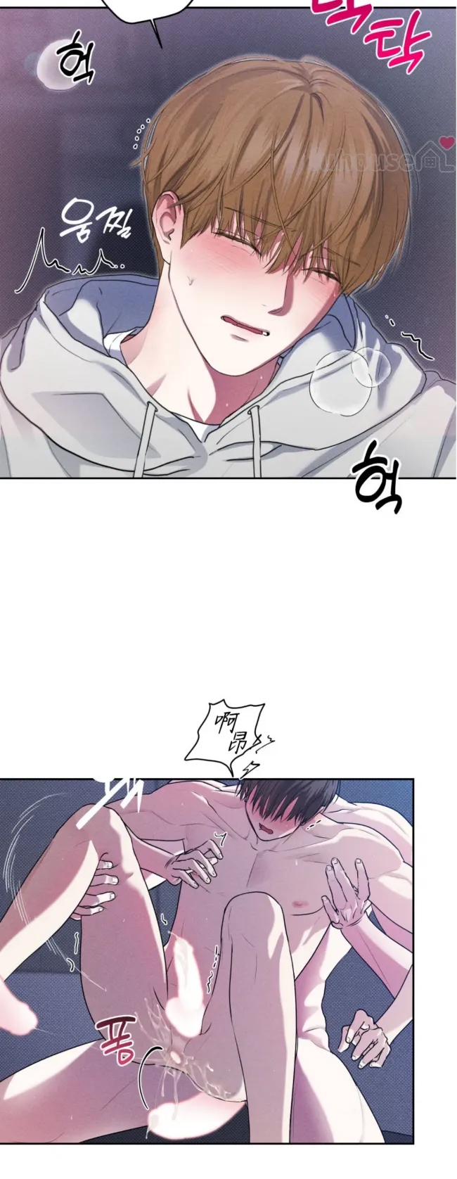 第 43 页
