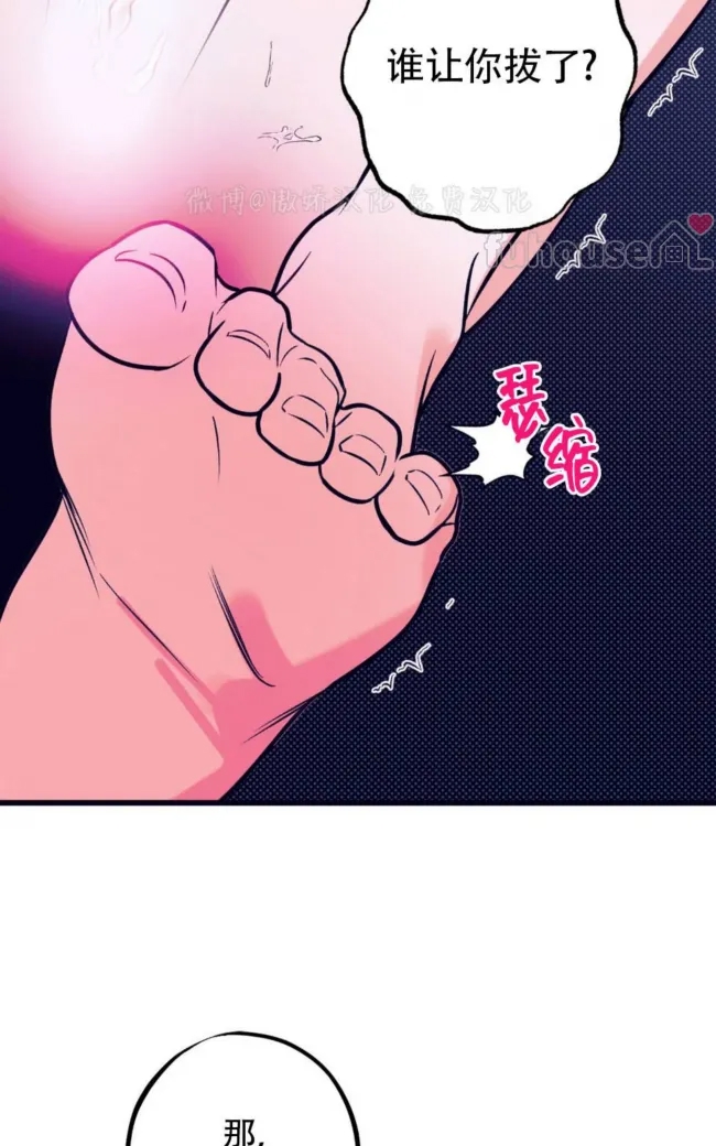 第 95 页