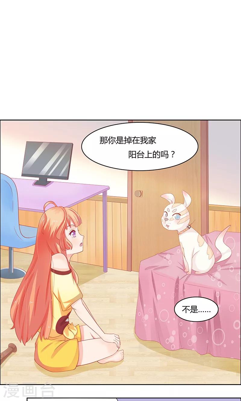 第 35 页