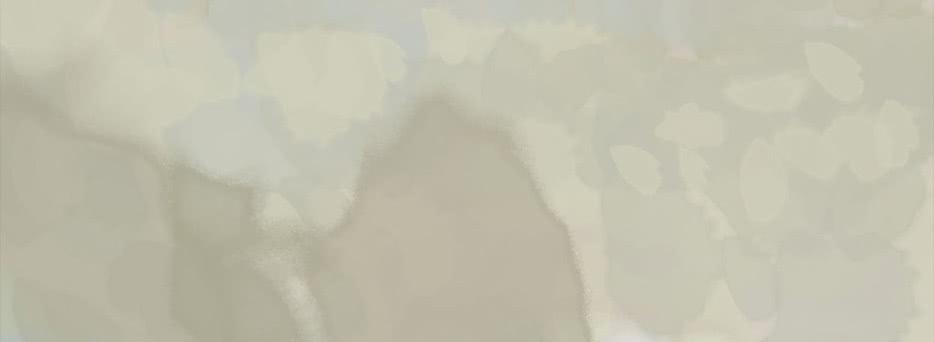 第 169 页
