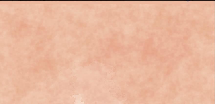 第 111 页