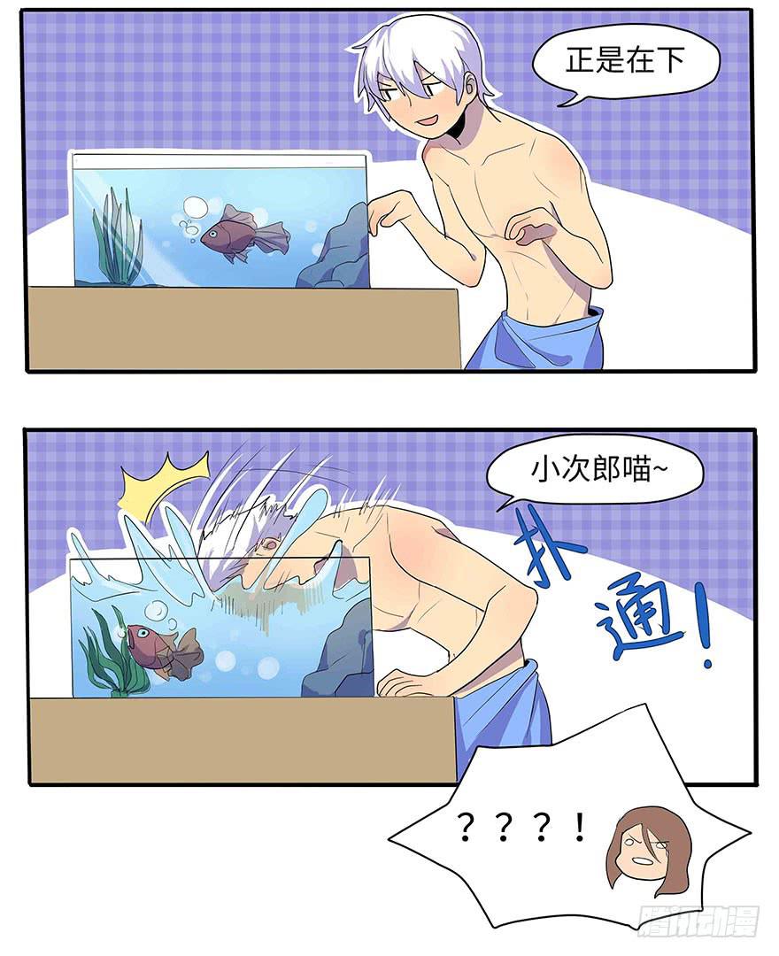 第 61 页