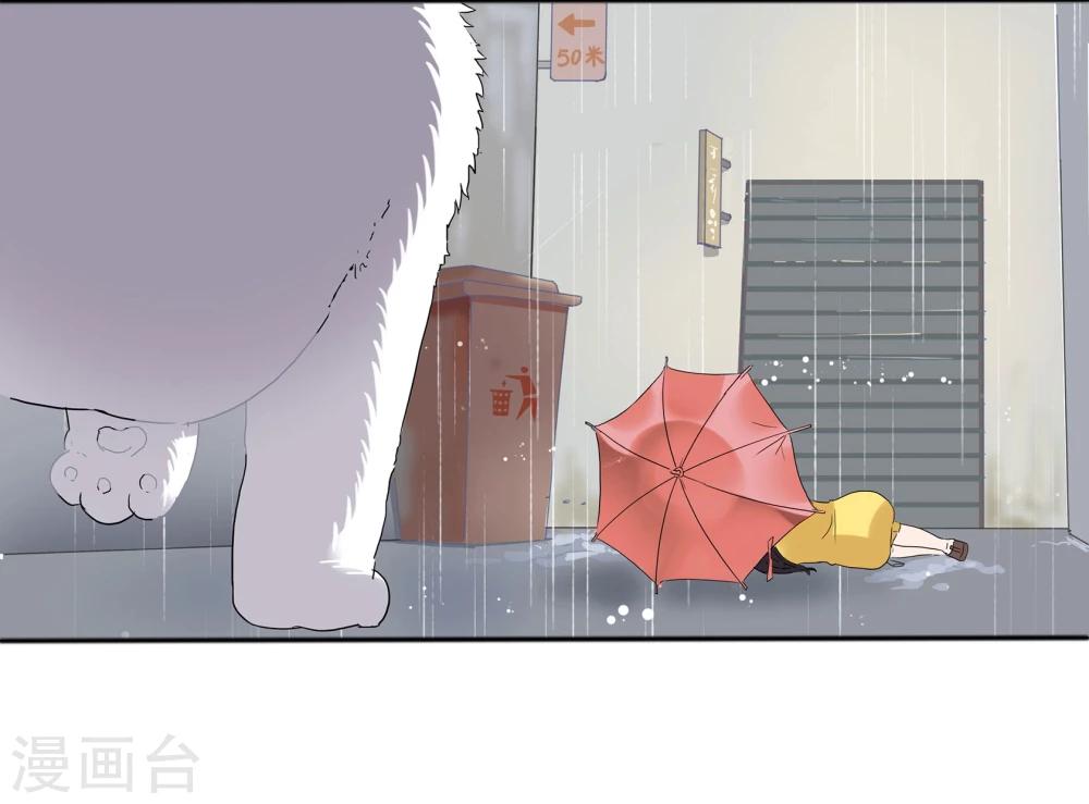 第 53 页