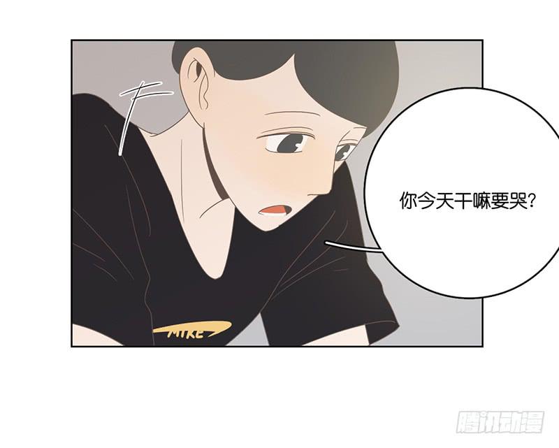 第 52 页