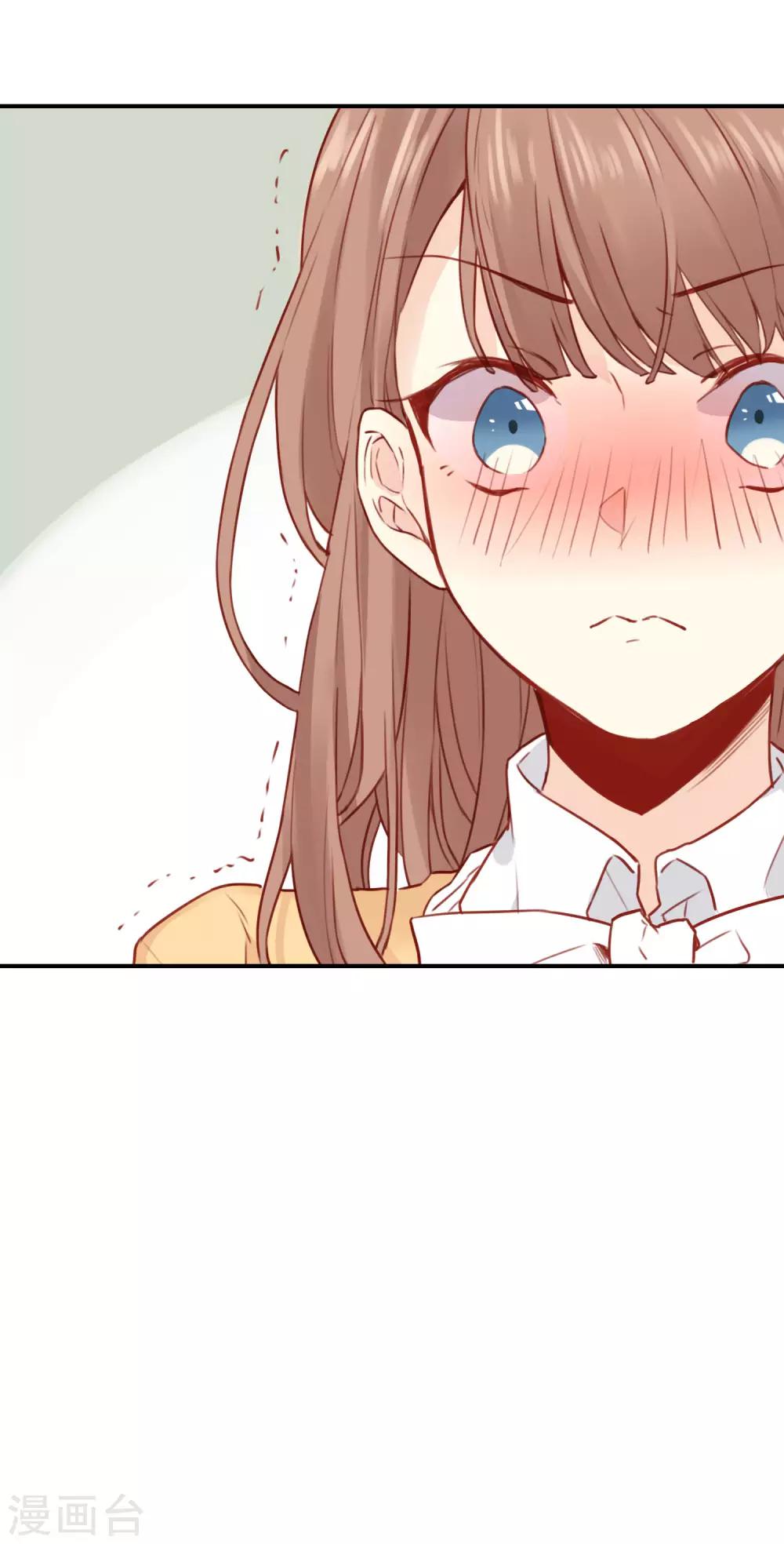 第 51 页