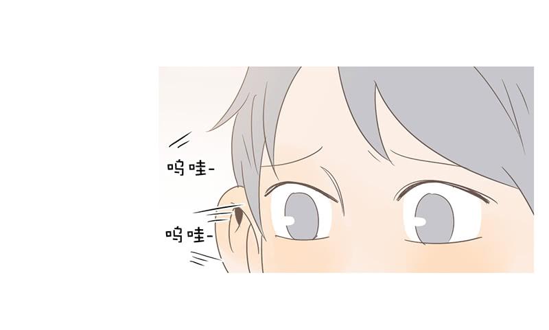 第 81 页