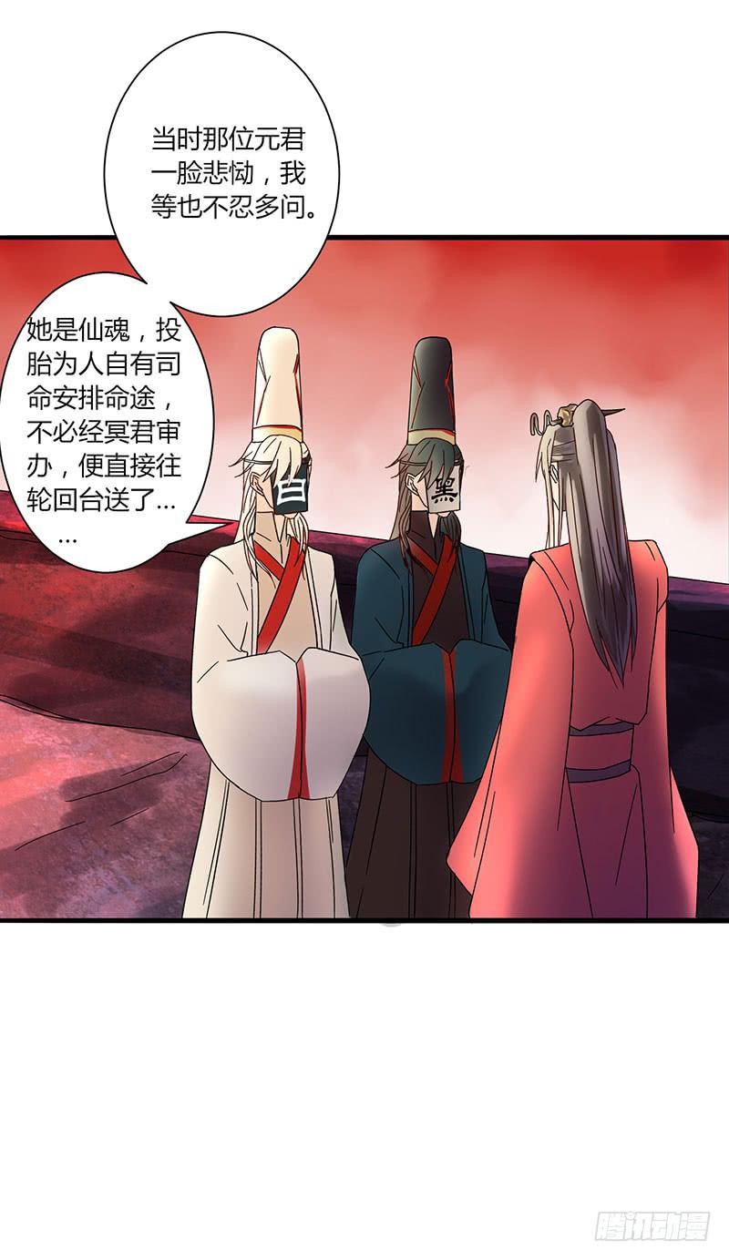 第 41 页