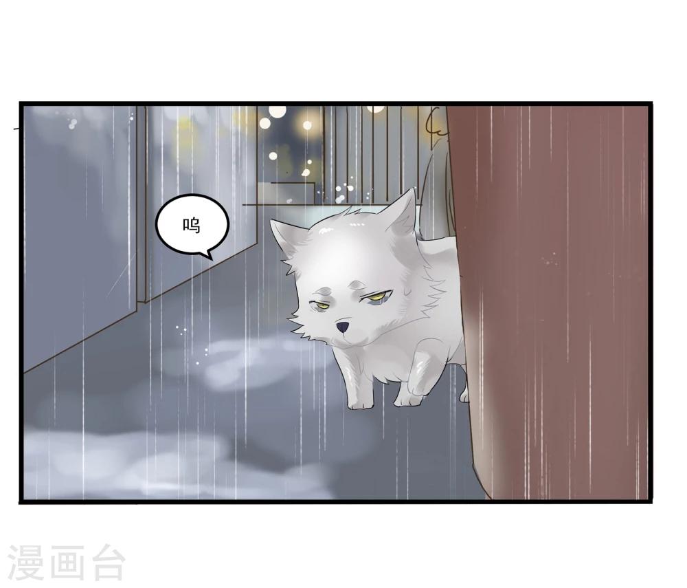 第 54 页