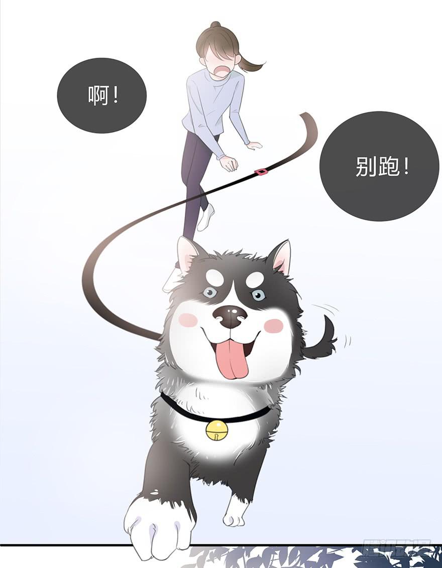 第 68 页