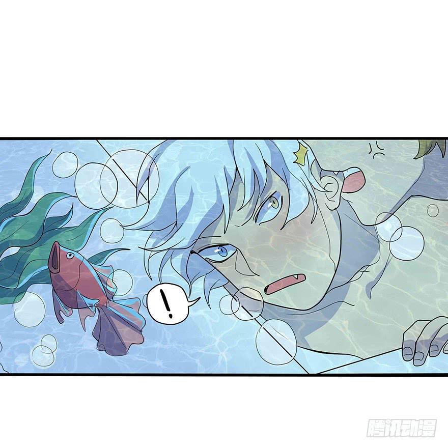 第 62 页