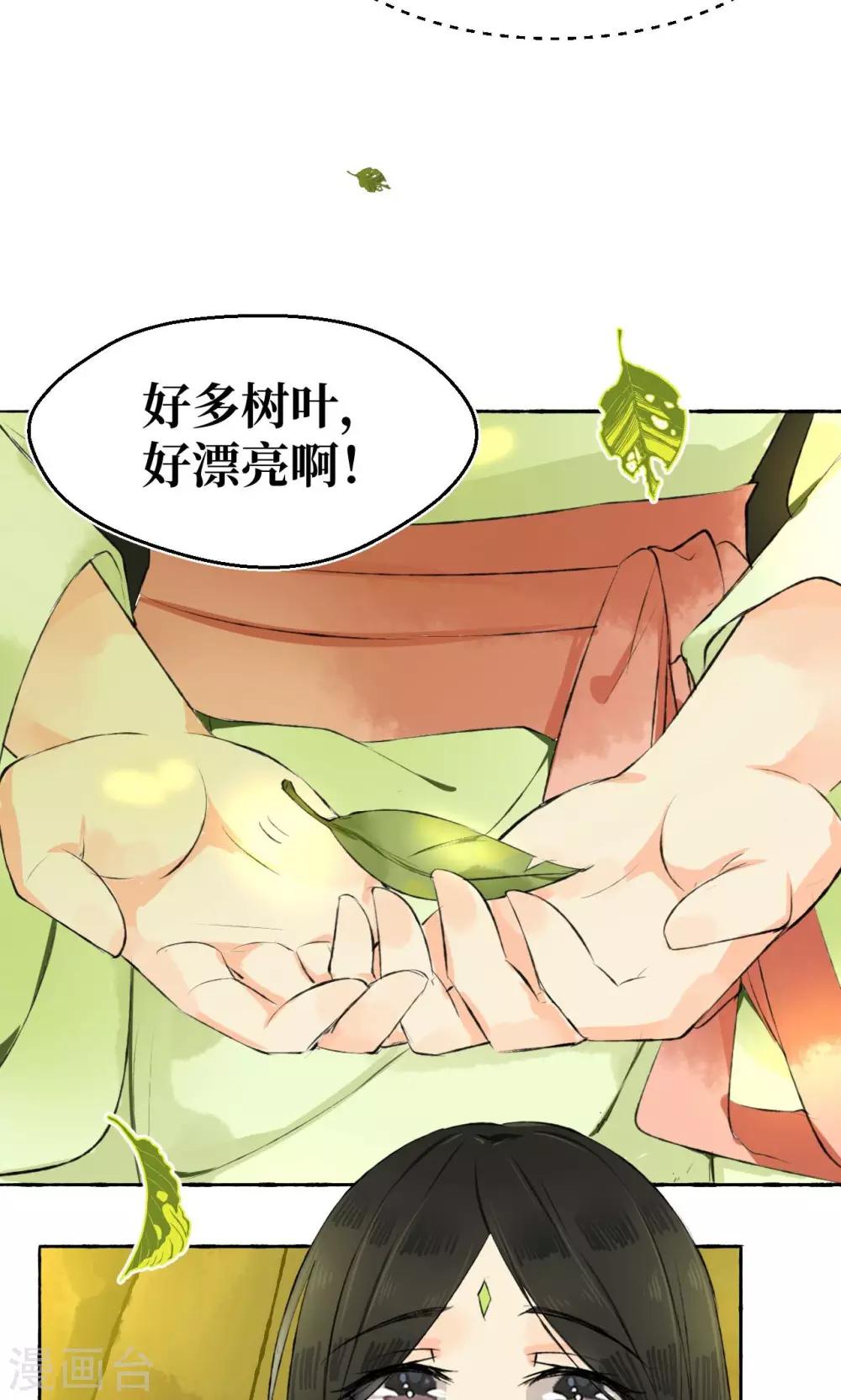 第 30 页