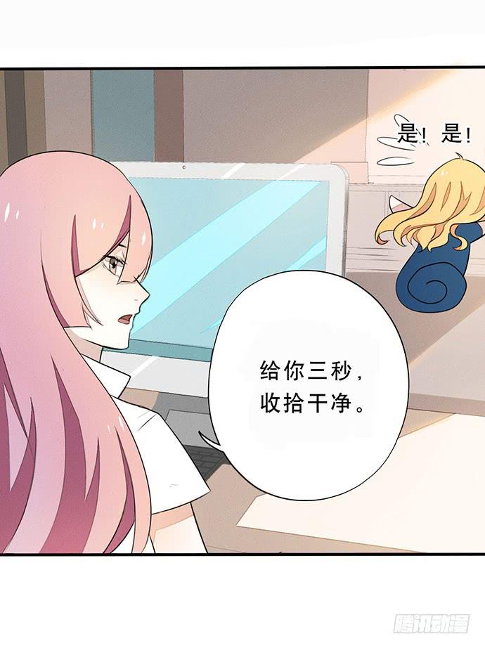 第 29 页