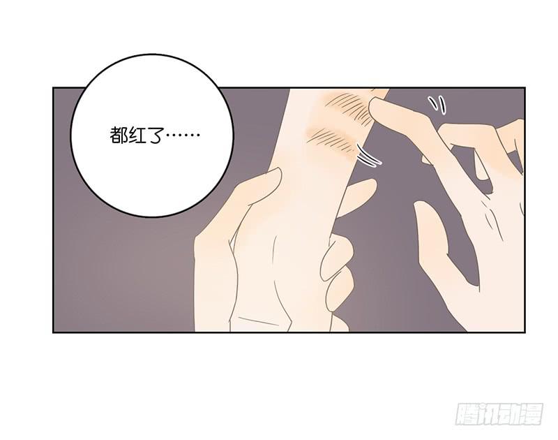 第 51 页