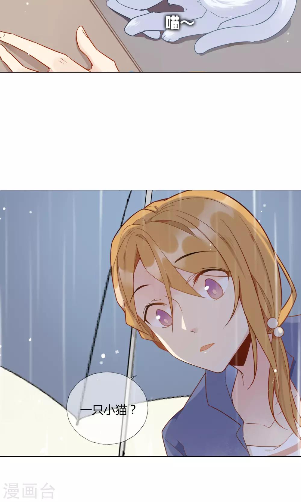 第 38 页
