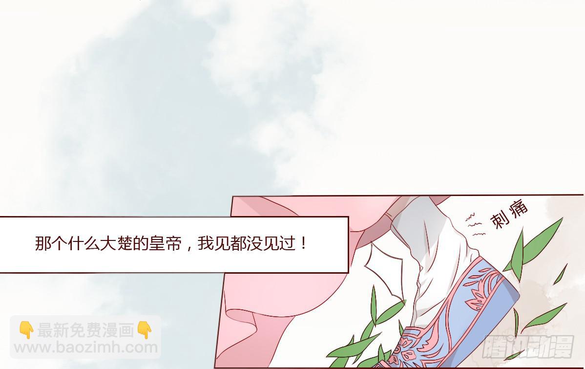 第 48 页