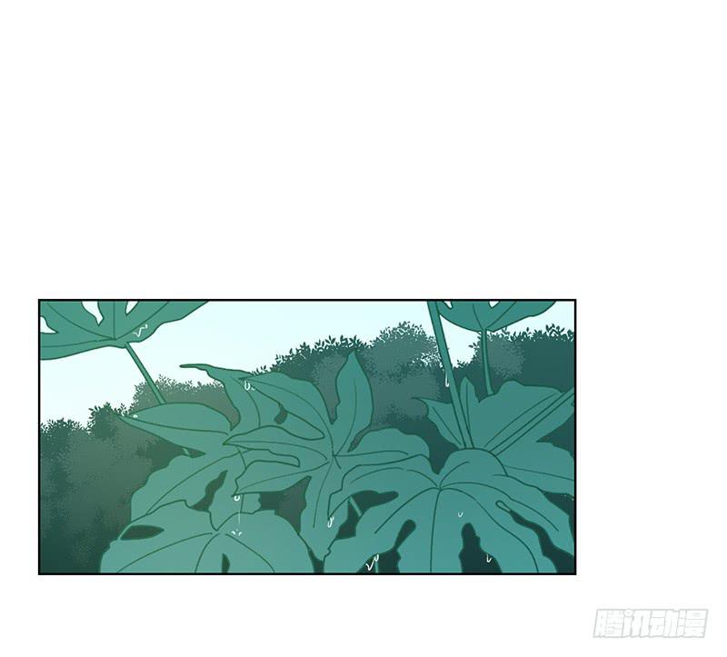第 71 页