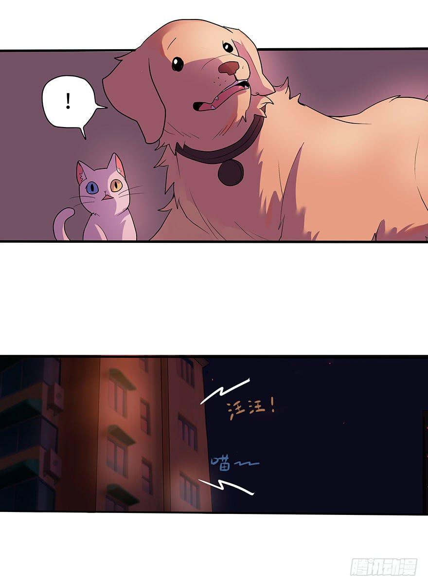 第 43 页