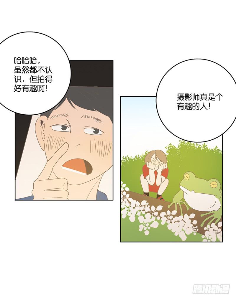 第 31 页