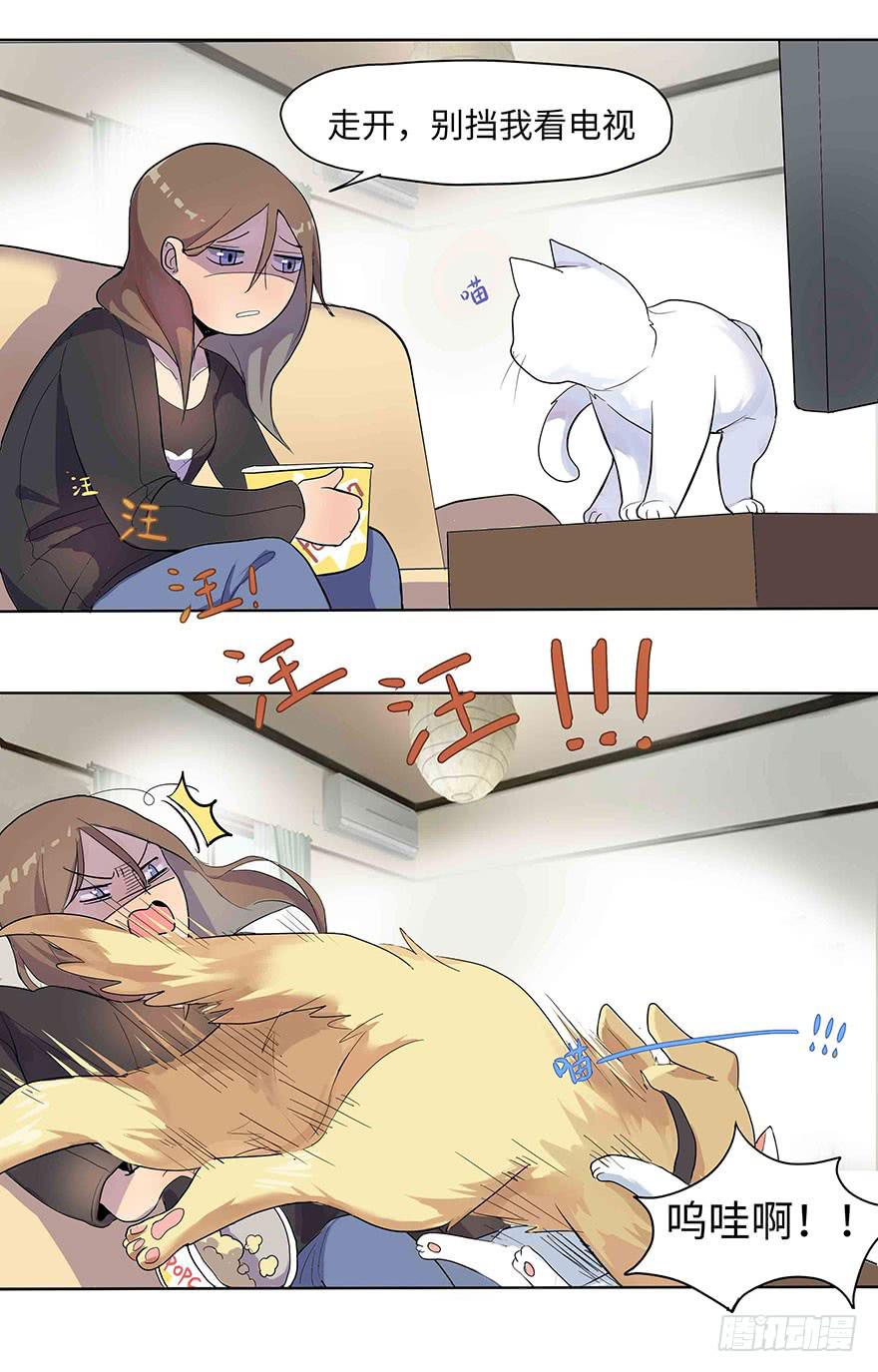 第 32 页
