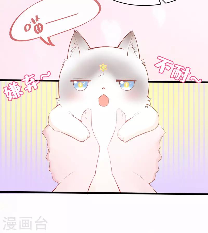 第 94 页
