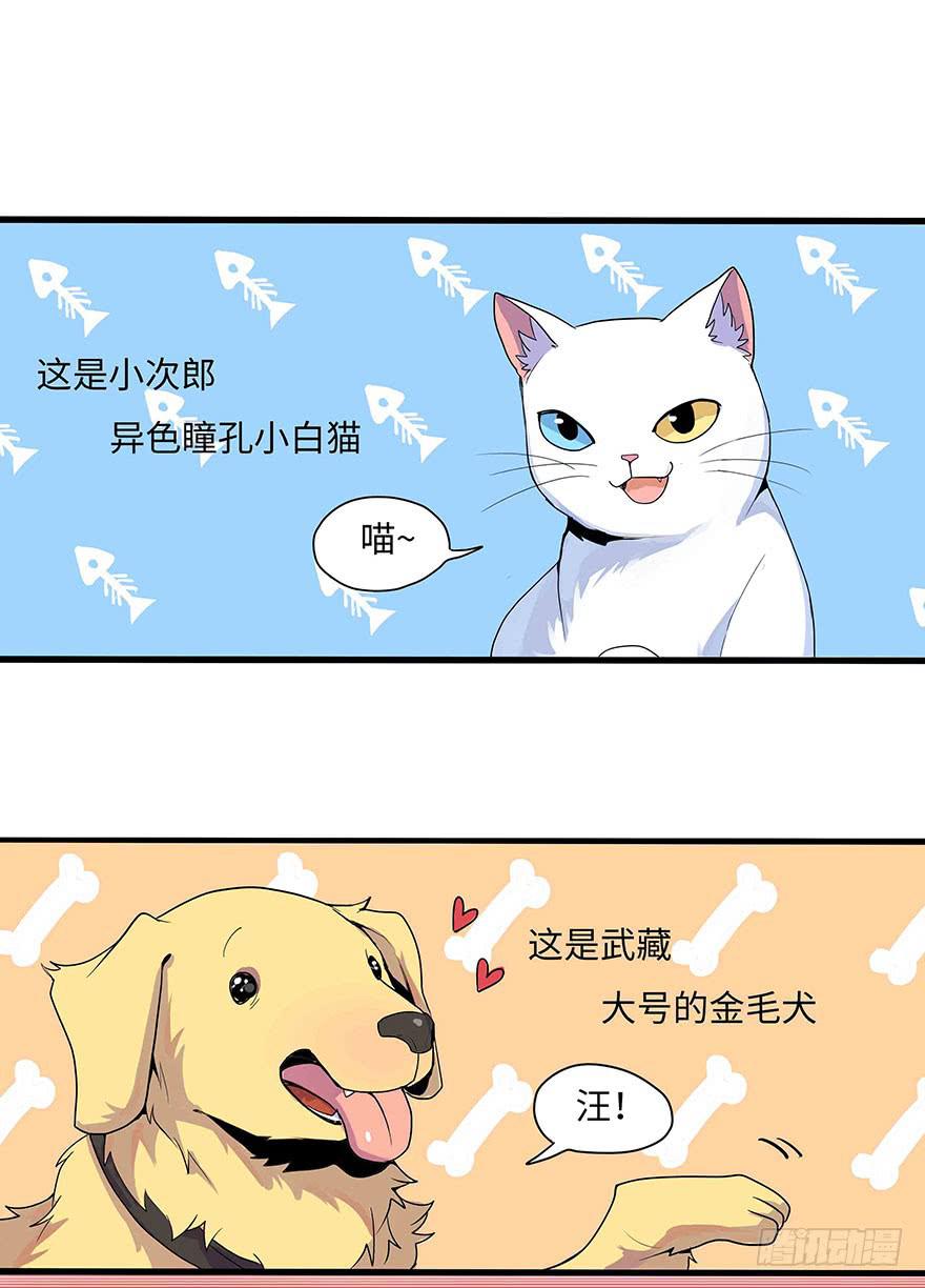 第 34 页