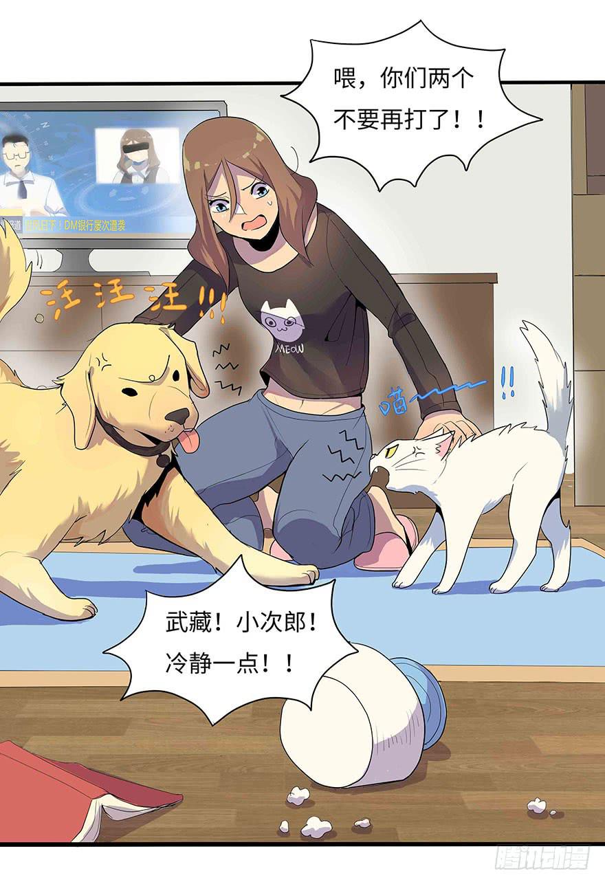 第 33 页