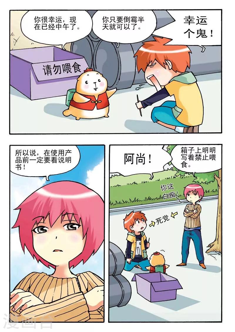 第 8 页