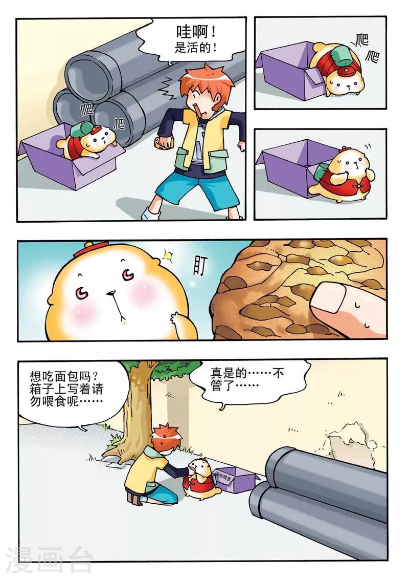 第 4 页