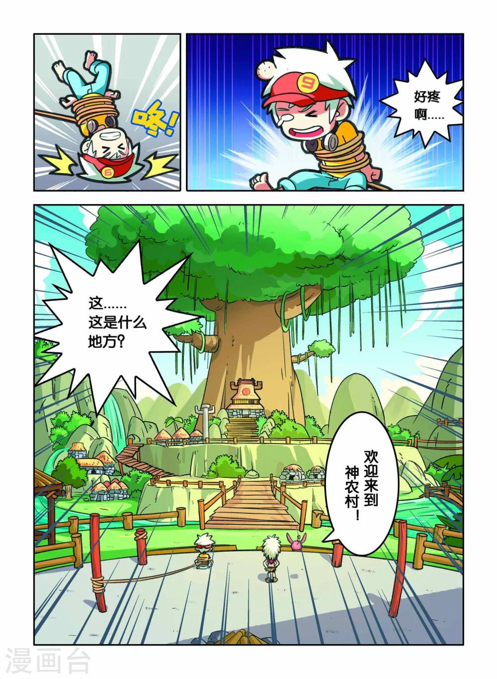 第 6 页