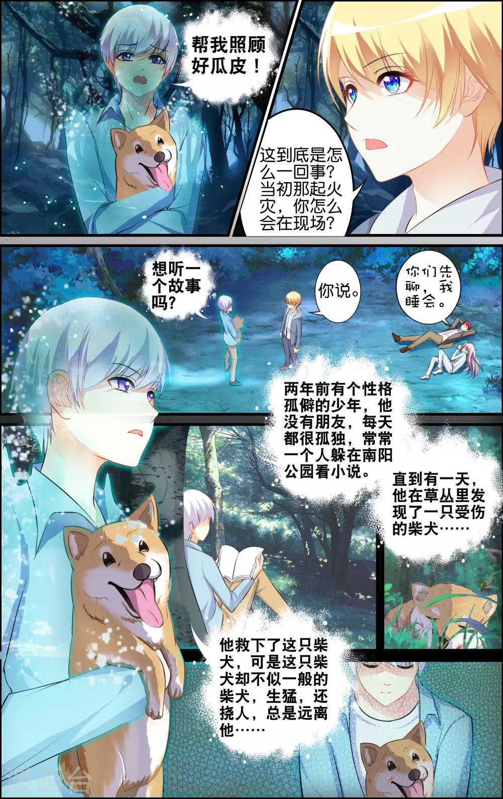 第 41 页