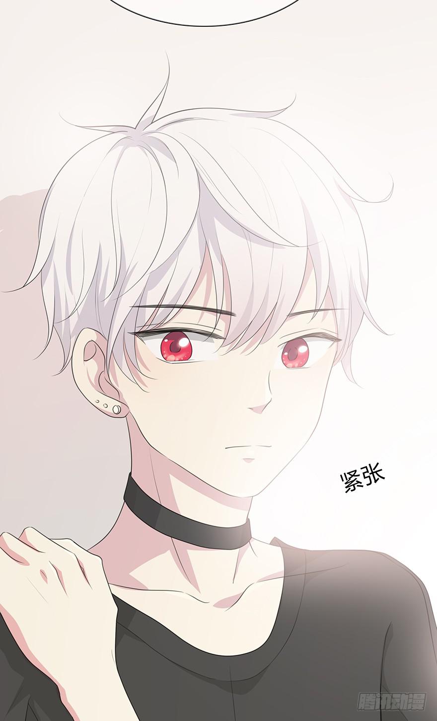 第 41 页