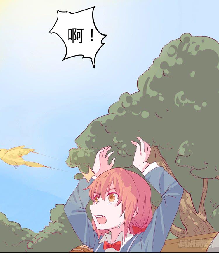 第 48 页