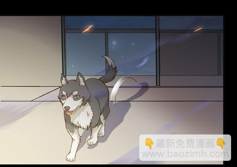 第 29 页