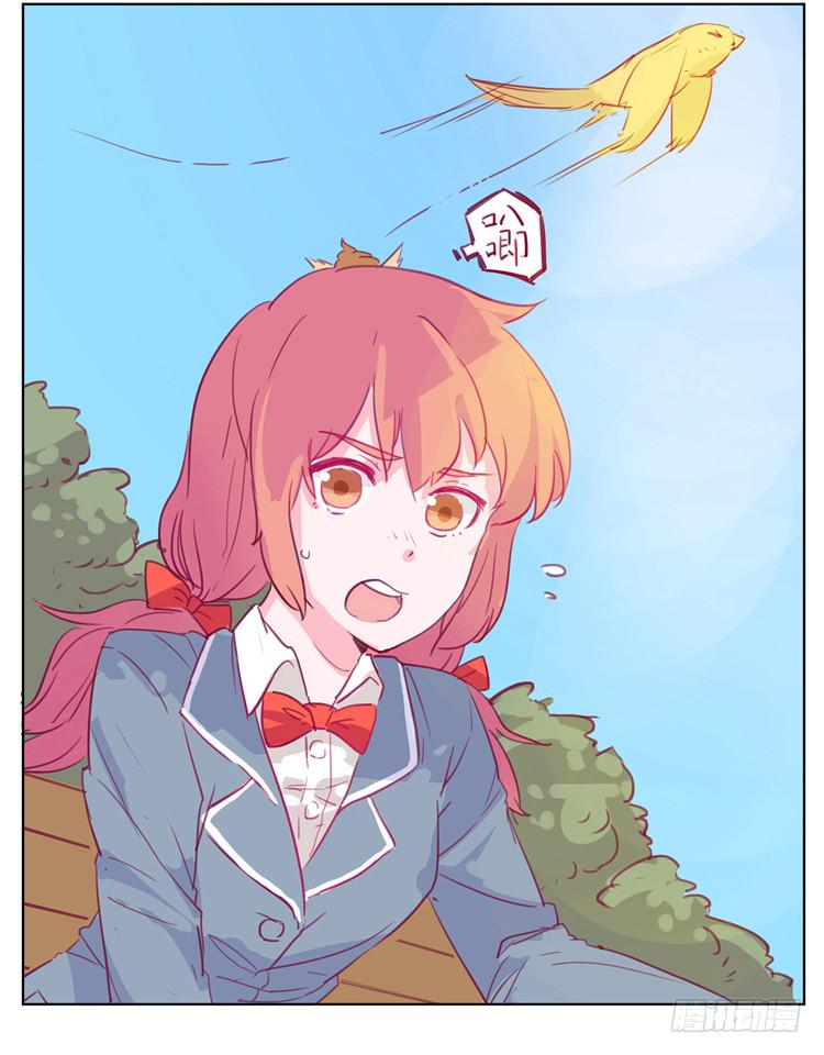 第 51 页