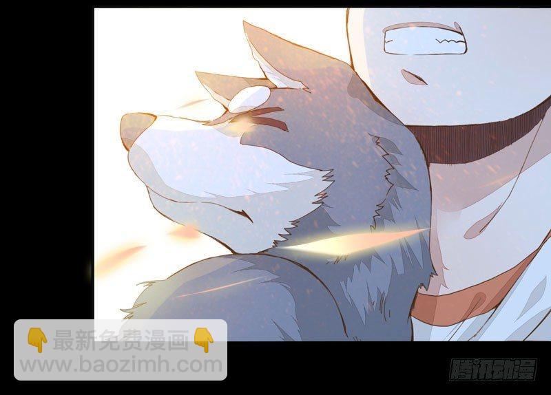 第 44 页