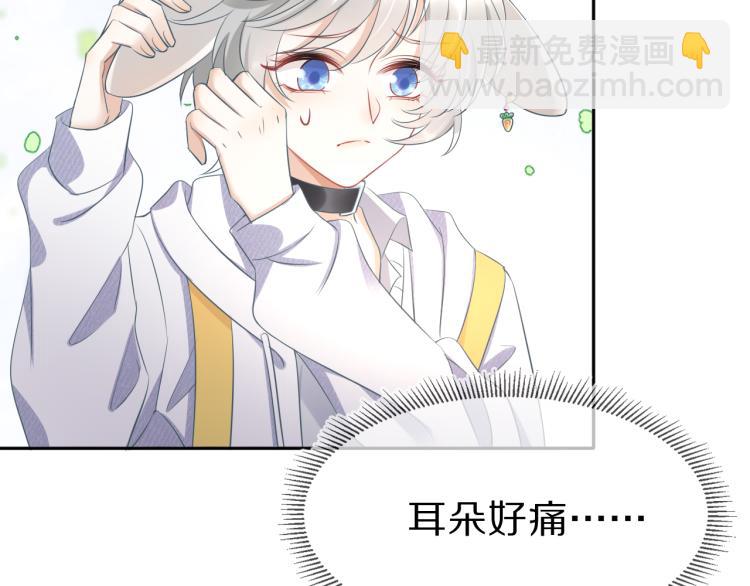 第 75 页