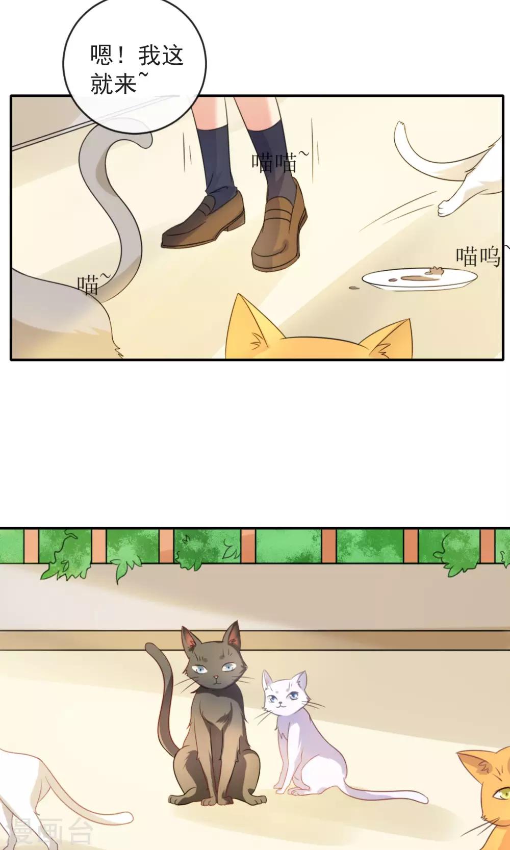 第 46 页