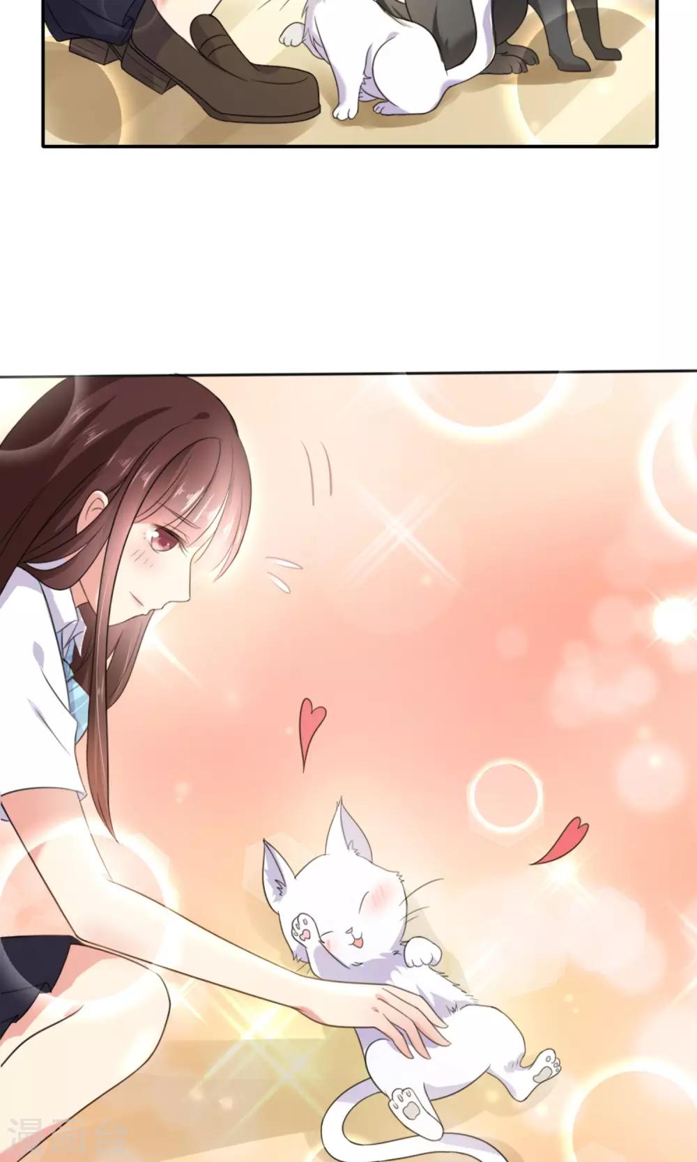 第 40 页
