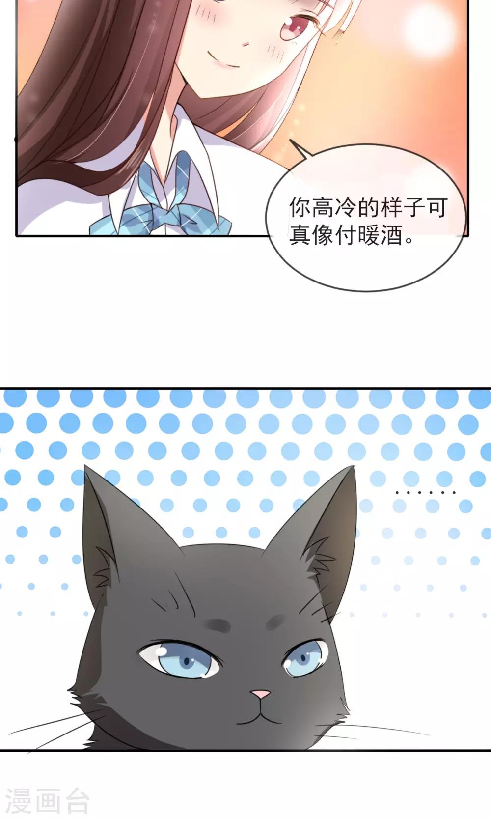 第 43 页