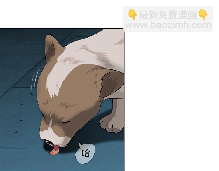 第 79 页
