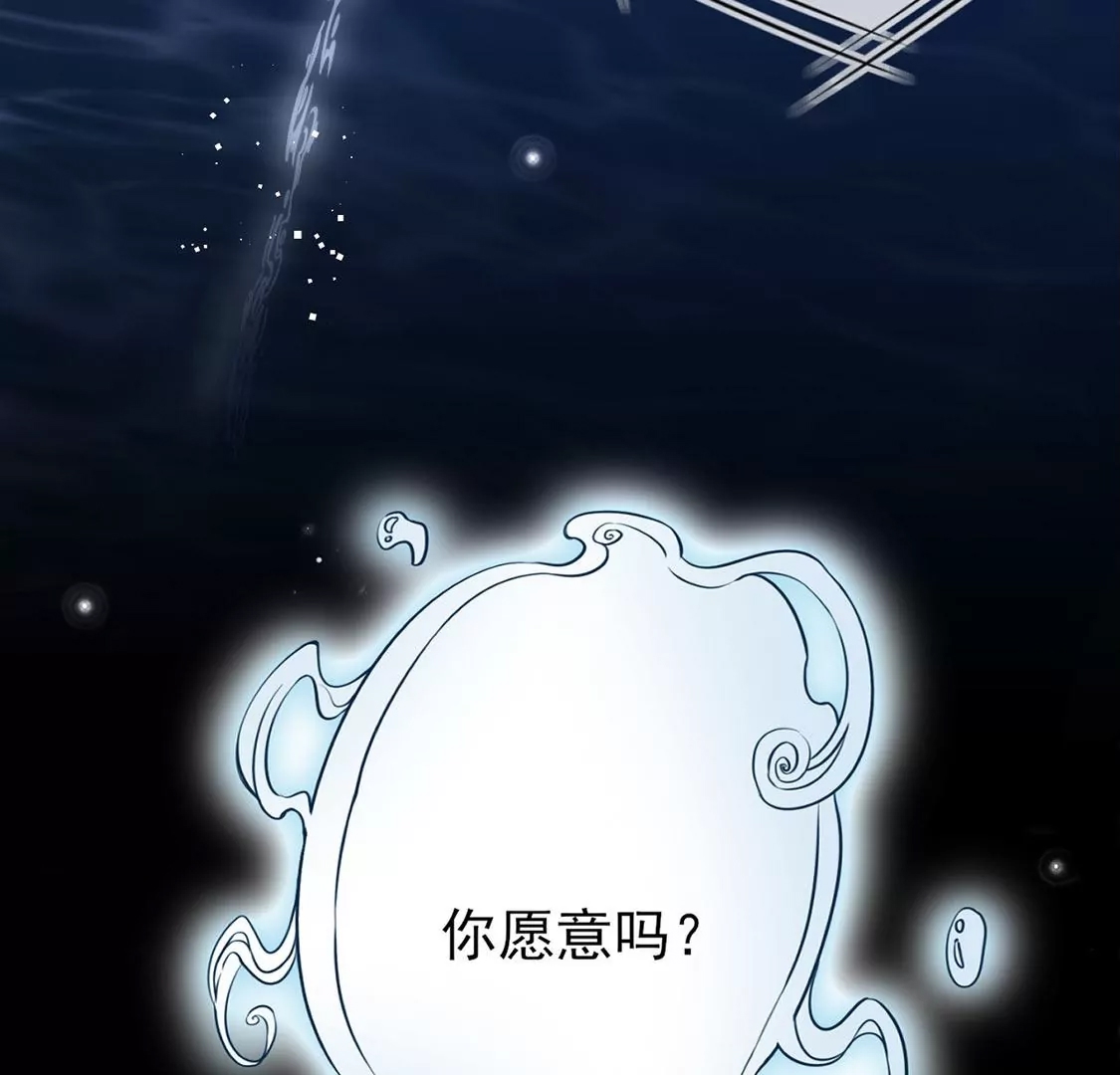 第 206 页