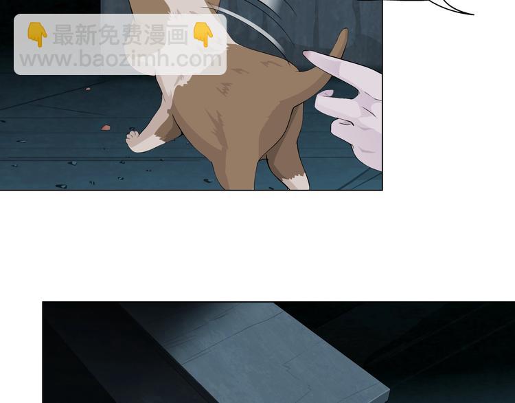 第 82 页