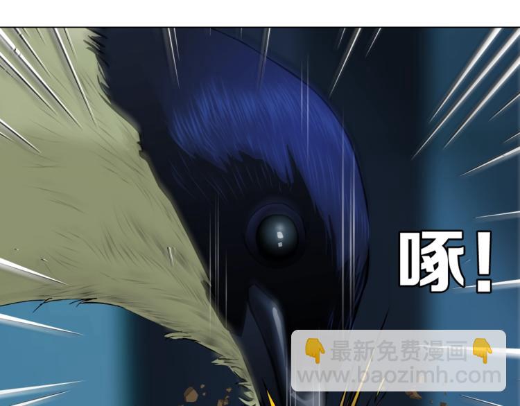 第 68 页