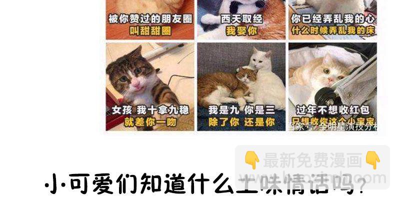 第 82 页