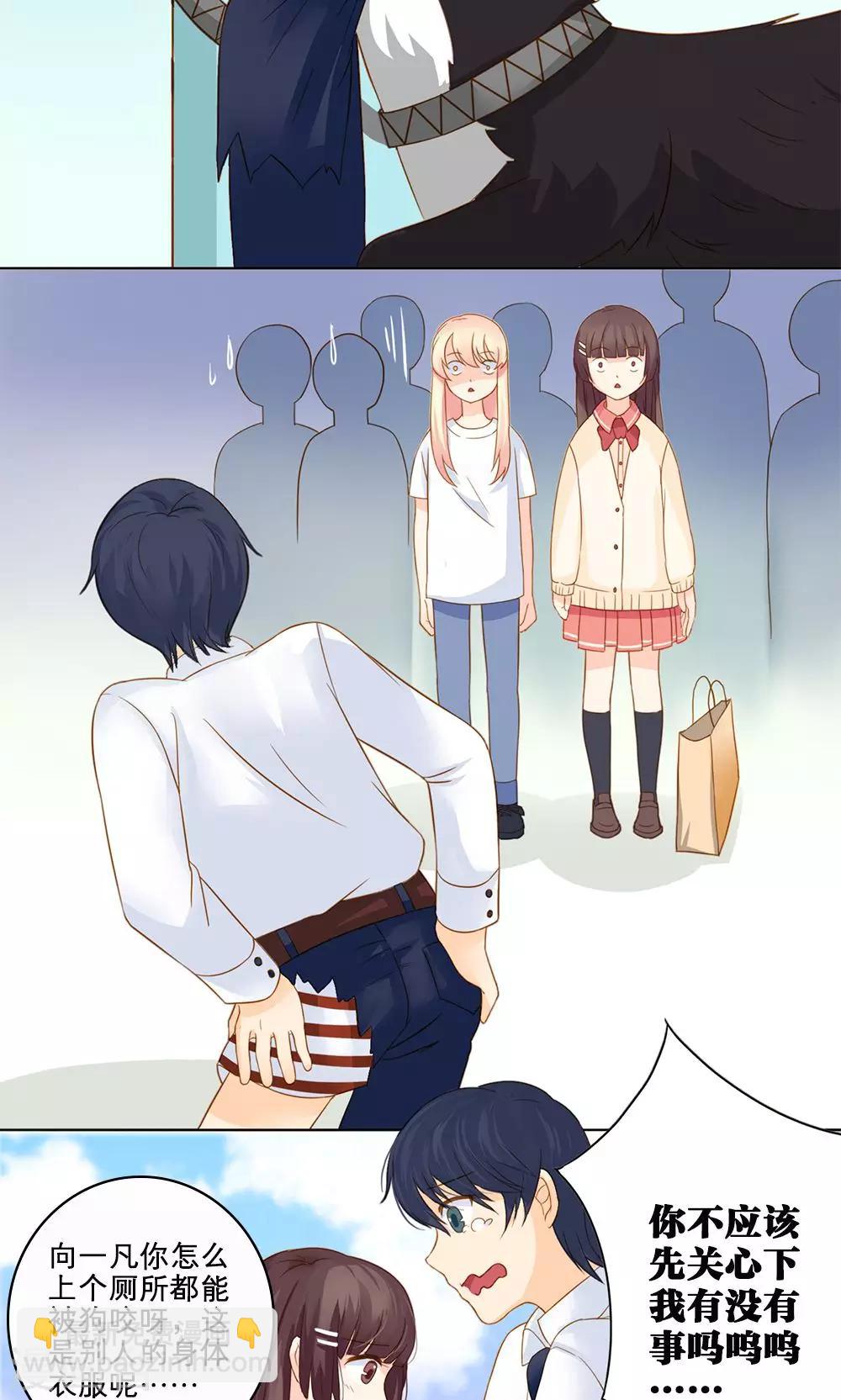 第 20 页