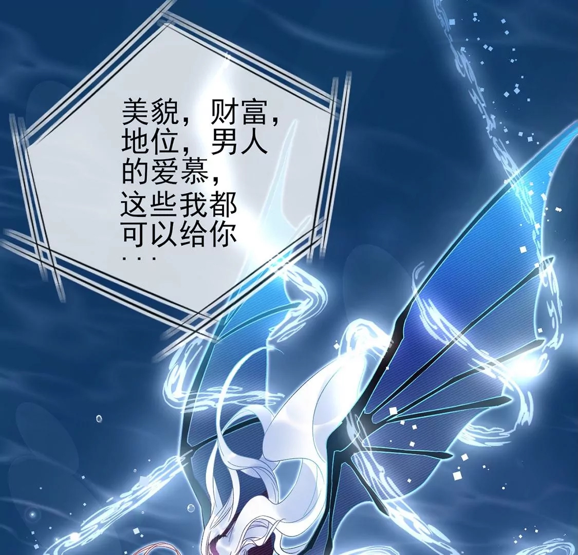 第 204 页