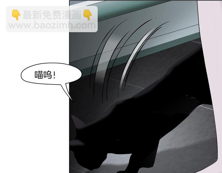 第 81 页